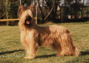 Esther Blonde de la Tour Saint Genin Esther Blonde de la Tour Saint Genin