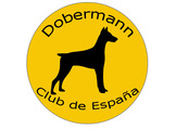 DCE Championship