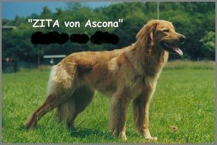 Zita von Ascona Zita von Ascona