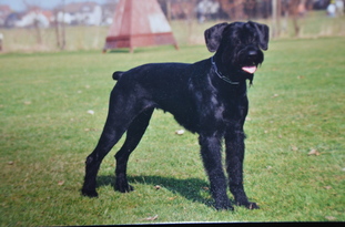 Akira von Elberfeld Akira von Elberfeld
