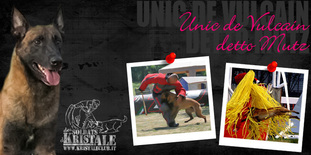 Unic de Vulcain Unic de Vulcain