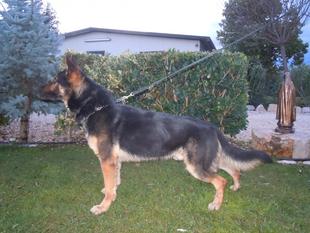 Aiko von der Horloffquelle Aiko von der Horloffquelle