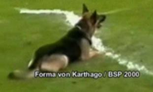 Forma von Karthago Forma von Karthago
