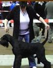 Susanne Hänze