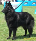 Guinevere Black z Kovárny