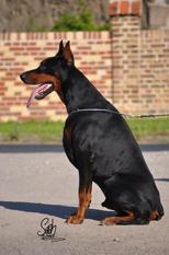 Chester von der Töpferstadt Chester von der Töpferstadt