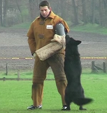 Soddy von den Wannaer Höhen Soddy von den Wannaer Höhen