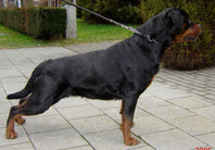 Boh van Hof ter Cammen