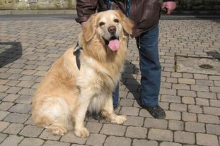 Toby vom Schondratal Toby vom Schondratal