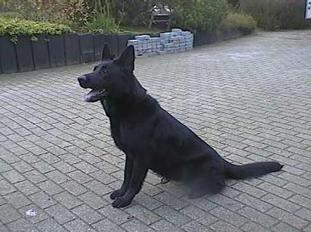 Yarda van Ruytershof Yarda van Ruytershof