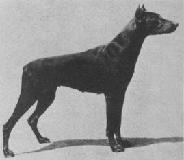 Cora von der Ruppertsburg Cora von der Ruppertsburg