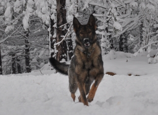 Tess von Juliet Tess von Juliet