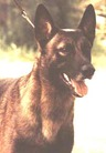 Kody von Christel
