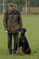 Ascomannis Igor Ascomannis Igor