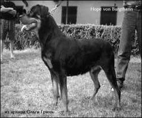 Hope von Burgthann Hope von Burgthann