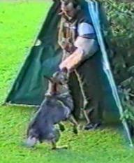Zeus vom Zeuterner Himmelreich Zeus vom Zeuterner Himmelreich