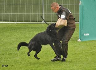 Alex von den schwarzen Seeperlen Alex von den schwarzen Seeperlen