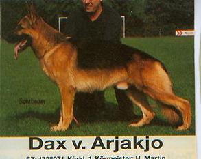 Dax von Arjakjo Dax von Arjakjo