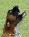 Beatrice Stocchi Beatrice Stocchi