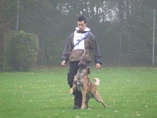 Dex (Adämmer) Dex (Adämmer)