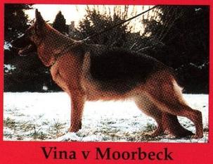 Vina vom Moorbeck Vina vom Moorbeck