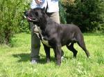 OLIVER (LI99115351 ) OLIVER (LI99115351 )