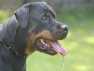 Umma vom Hause Gründchen Umma vom Hause Gründchen