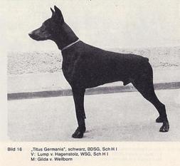 Titus Germania Titus Germania