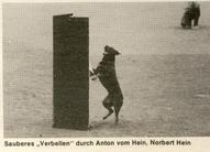 Anton vom Hein