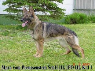 Mara vom Preußenstein Mara vom Preußenstein