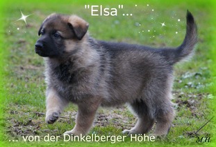 Elsa von der Dinkelberger Höhe Elsa von der Dinkelberger Höhe