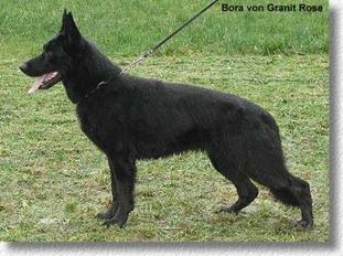 Bora von Granit Rose Bora von Granit Rose