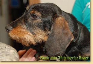 Annie vom Jüttendorfer Anger Annie vom Jüttendorfer Anger