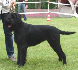 Debby vom Sonnenhof Debby vom Sonnenhof