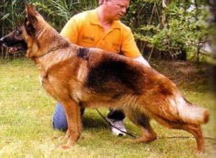 Jitta von Batu Jitta von Batu