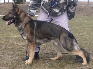Maik von der Germanenquelle Maik von der Germanenquelle