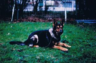 Tabu von Haus Antverpa Tabu von Haus Antverpa