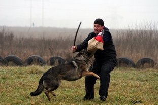 Aksa iz Legendi Aksa iz Legendi