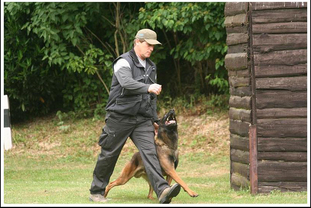 Kirou vom Further Moor Kirou vom Further Moor