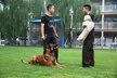 shang feng Wen