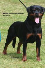 Mamba von Hohenbeilstein Mamba von Hohenbeilstein