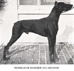 Nicholas of Randhof Nicholas of Randhof