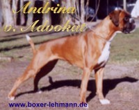 Andrina vom Advokat Andrina vom Advokat