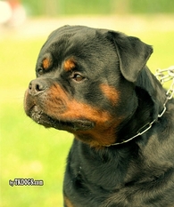 Leroy van Haysherak Leroy van Haysherak