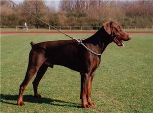 Alfred von der Urftquelle Alfred von der Urftquelle