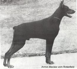 Armin Meckie vom Roten Feld Armin Meckie vom Roten Feld