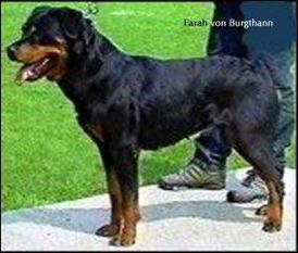Farah von Burgthann Farah von Burgthann