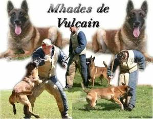 M'Hadès de Vulcain M'Hadès de Vulcain