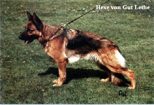 Hexe vom Gut Lethe Hexe vom Gut Lethe