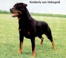Kimberly von Hohegeiss Kimberly von Hohegeiss